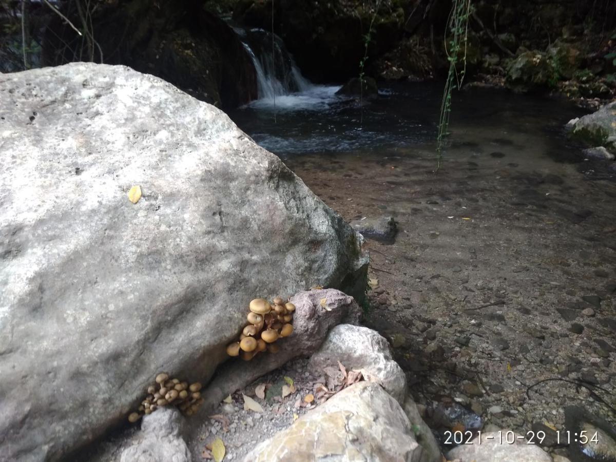 Apartamento Casa Romero El Bosque Εξωτερικό φωτογραφία