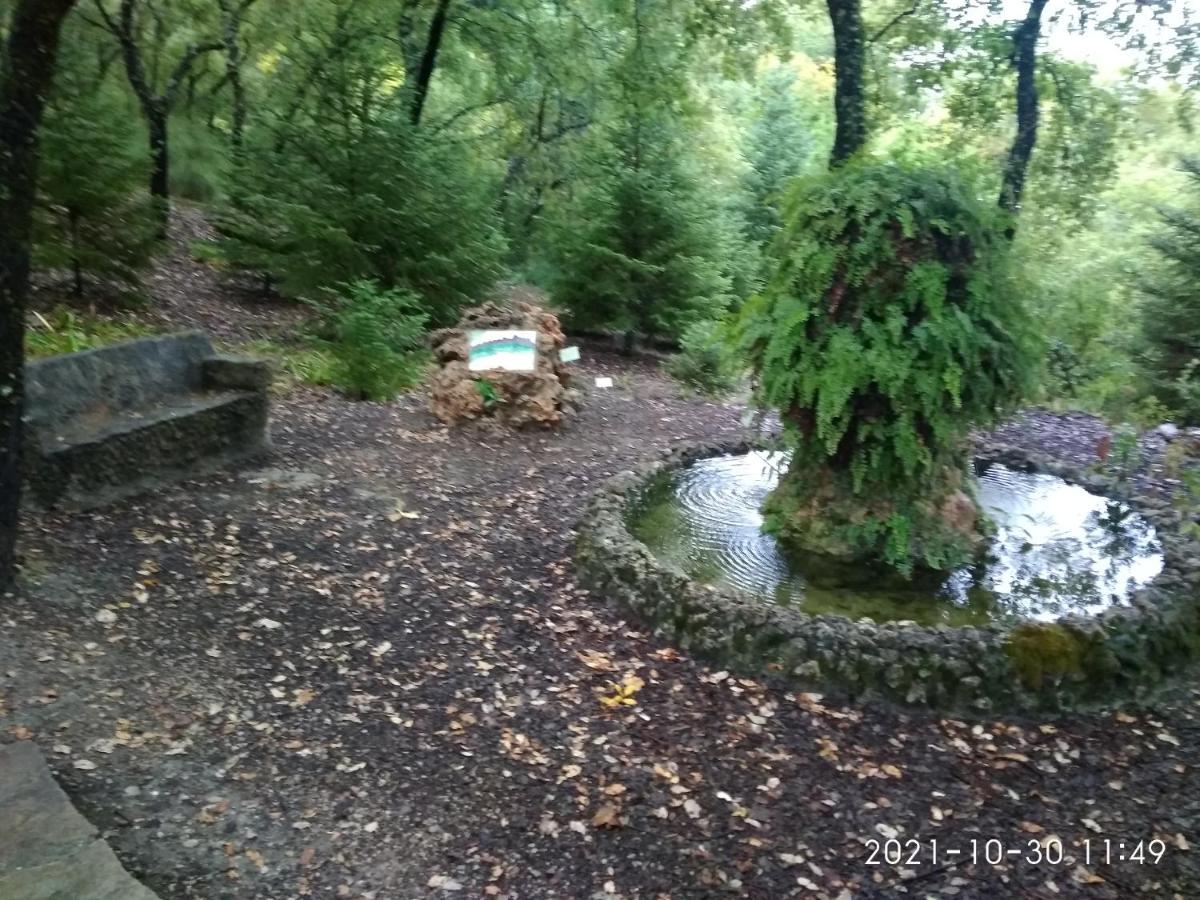 Apartamento Casa Romero El Bosque Εξωτερικό φωτογραφία